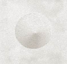 Asian cookies VP641/01