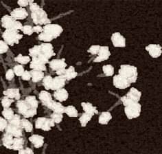 Narco flowers VP645/03