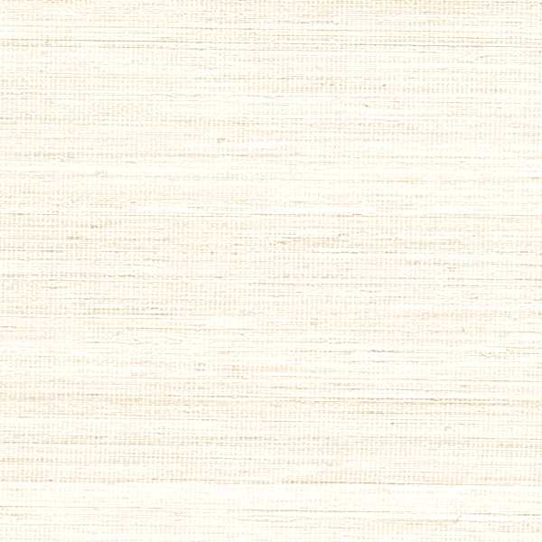 Panama Musa VP710/04