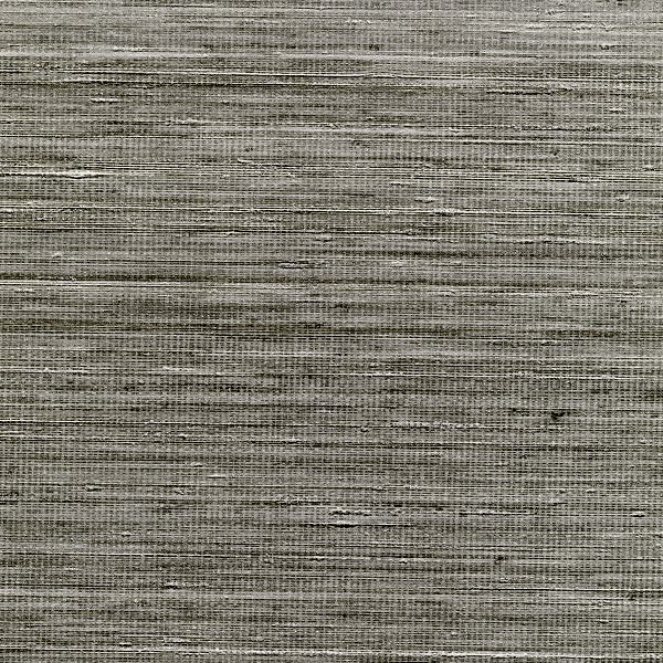 Panama Musa VP710/05