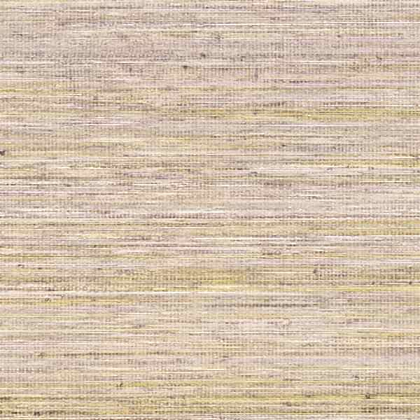 Panama Musa VP710/10