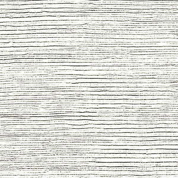 Panama Dandy VP711/01