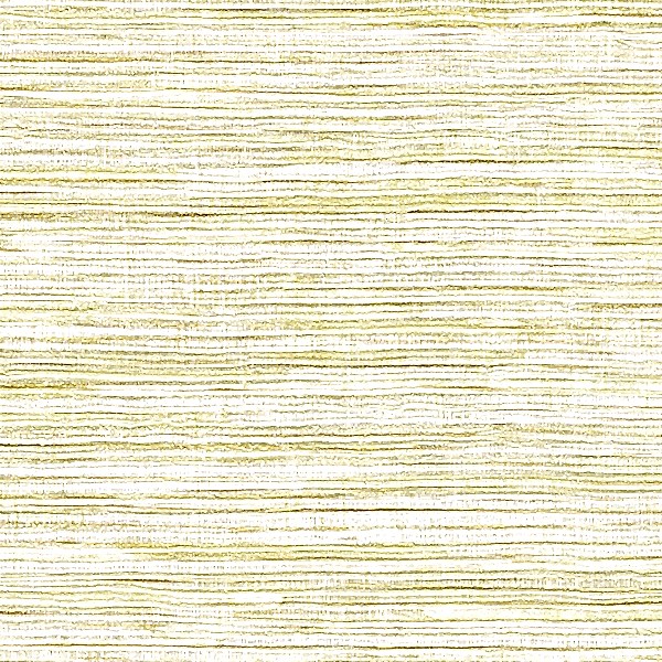 Panama Dandy VP711/02