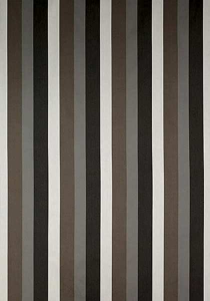 JAYANTI STRIPE W764114
