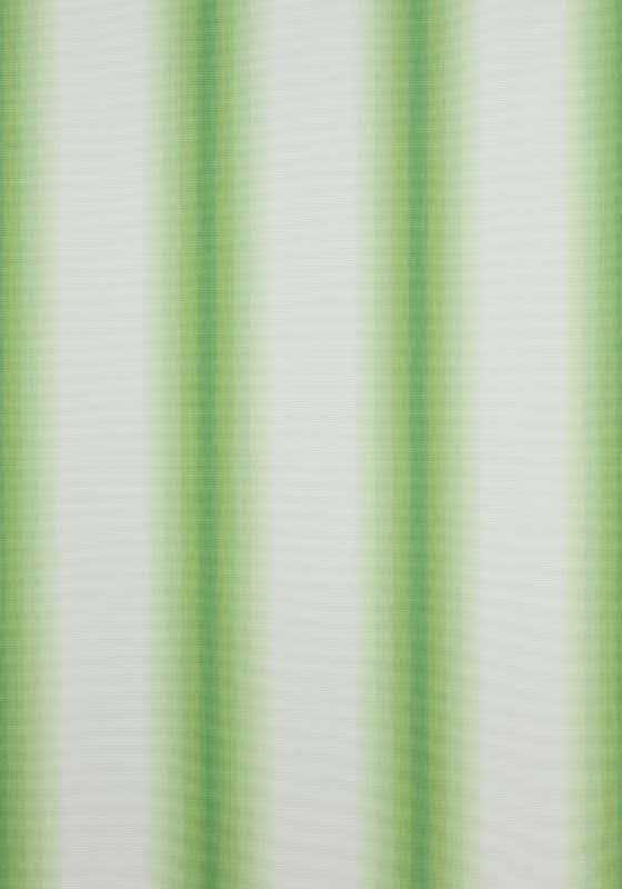 STOCKTON STRIPE W775495